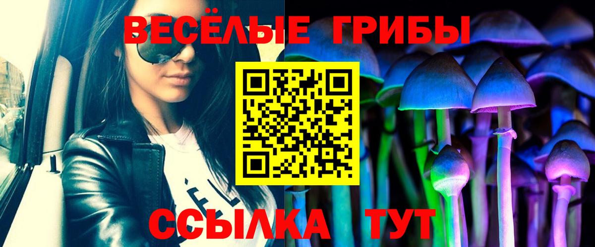 Галлюциногенные грибы мухоморы  Псилоцибиновые грибы Psilocybe  магазин    Ржев  Вход с VPN 